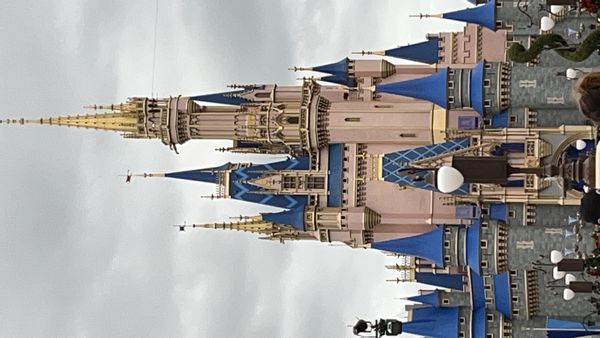 15 minutes to Disney World