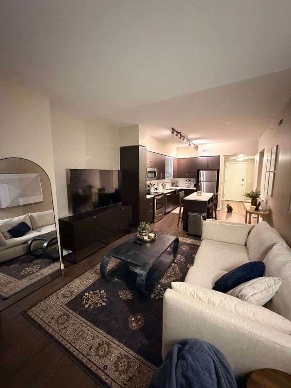 1BR Luxury Apt w/ 2 cats; rooftop pool; centrally located