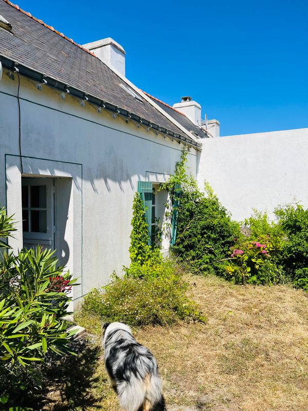 Island paradise in Savage coast. Typical belliloise’s house