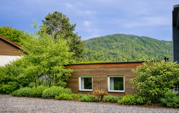 Petras hus