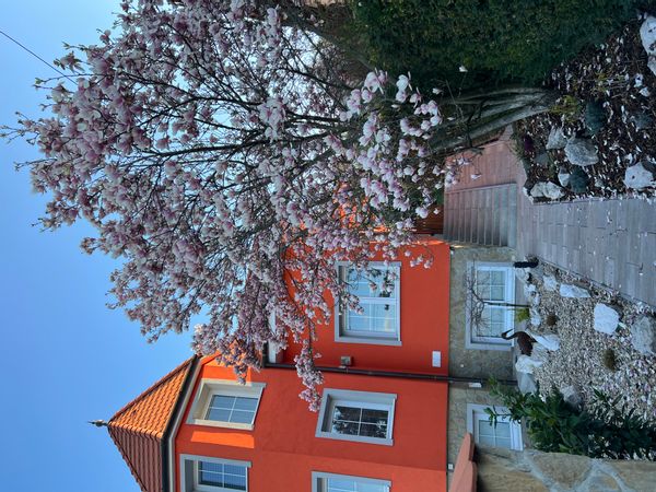 Private Budapest studio + sauna – peaceful & well located