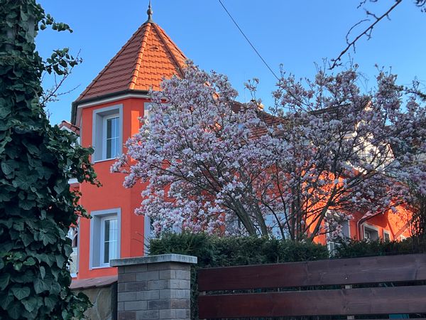 Budapest house + studio with sauna – quiet, private & well connected