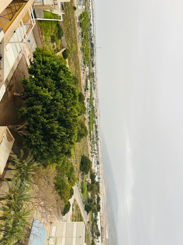 Martins hus