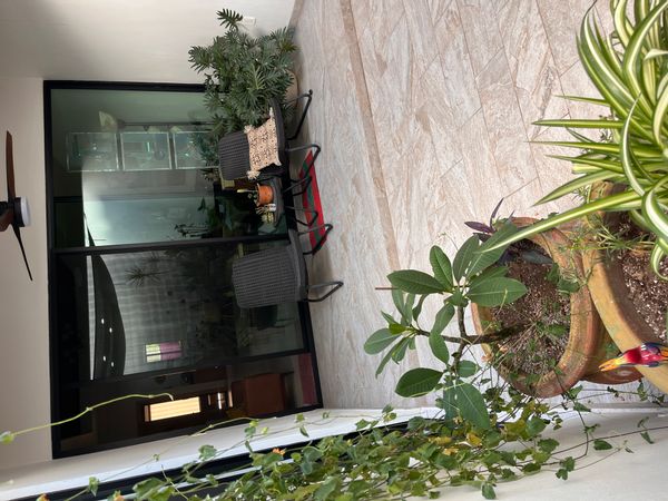 Quiet & peaceful mountainside home in Ajijic, Lake Chapala - Walkable to everything!