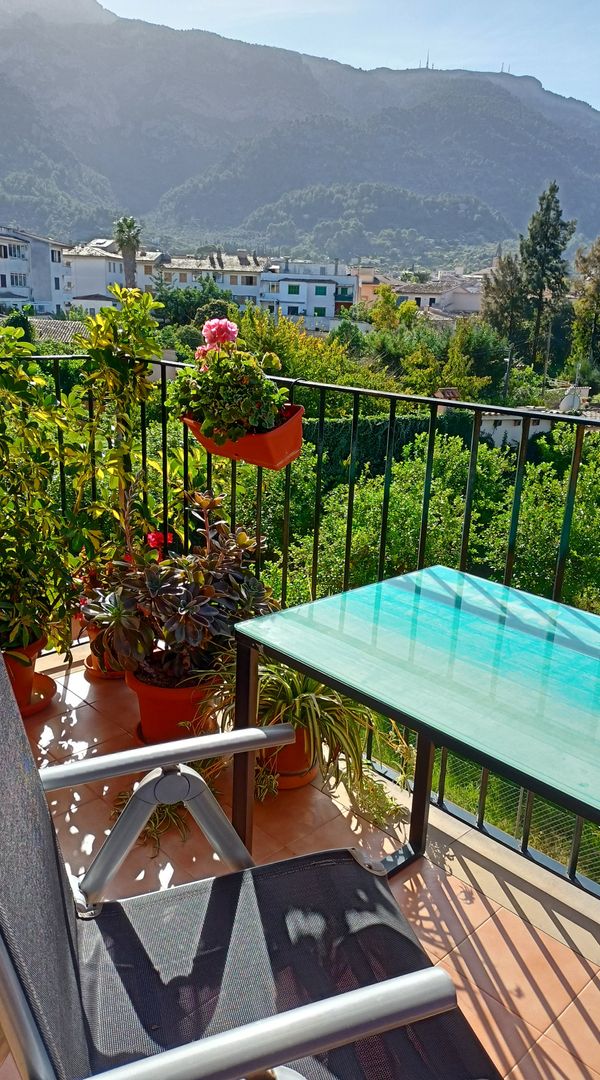 La maison de Oscar Y Olivia