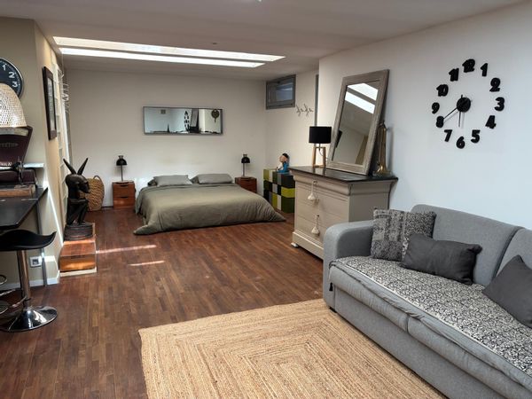 Charming studio apartment with skylights