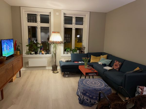 Susanne Hoggenina kuća