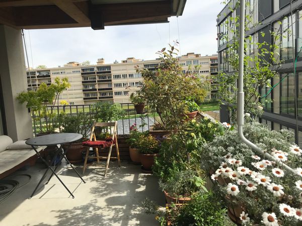 La maison de Sylvianne est une bel appartement en coopérative d'habitation dans un écoquartier.