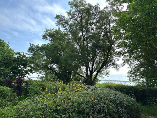 Pascale et Hervé's house