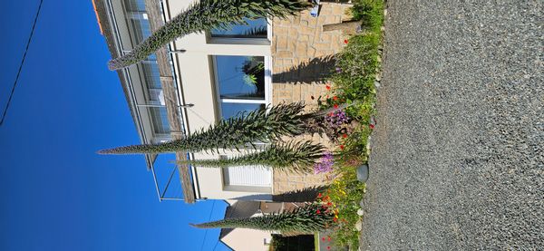 La maison de Catherine & Alan  Grande maison sur la côte de granit rose