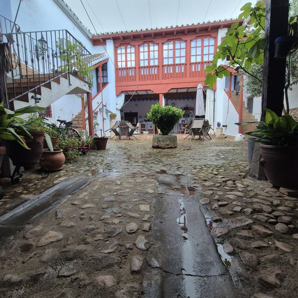 Casa de Arcadio