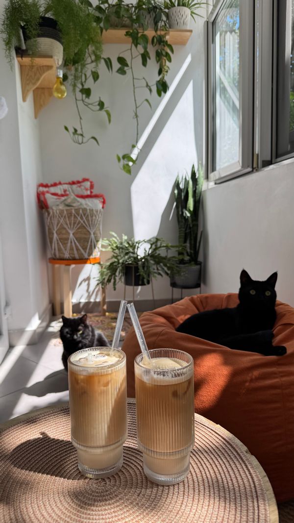 Cozy apartment in Iasi