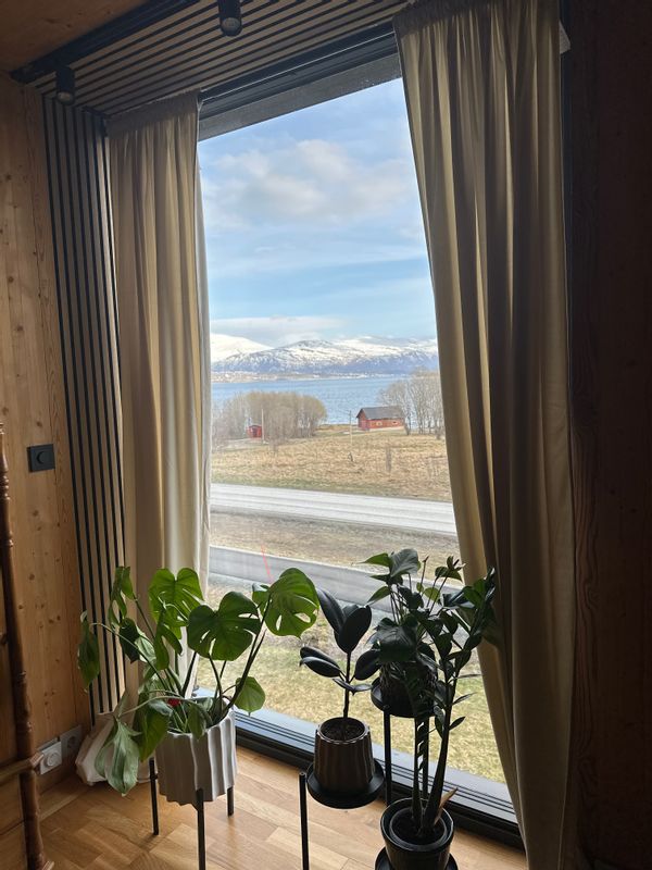 Arctic View Retreat