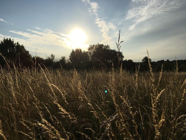 Emilie Et Régiss hus