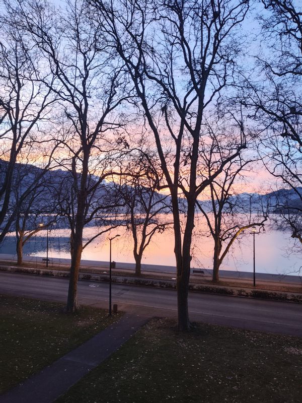 Appartement vu lac et montagne au bord du lac d'Annecy