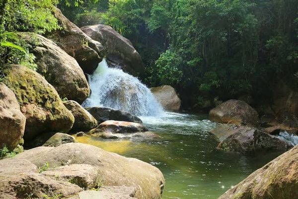Peaceful Corner in Nature