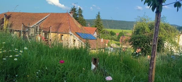 Casa de Julien et Betina