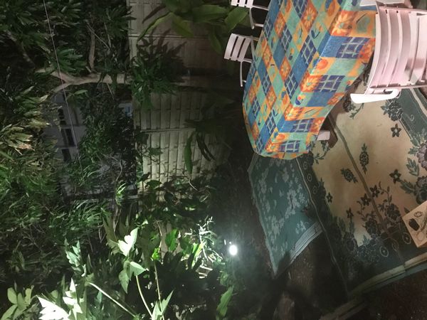 Sophie's house
