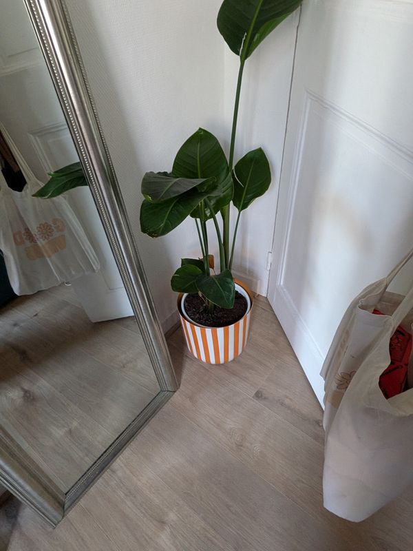 huis van Camille