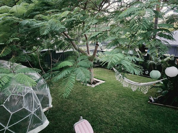 Tropical Oasis 