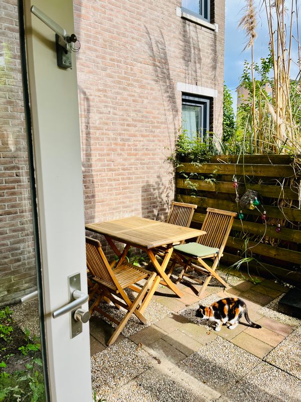 La maison de Merlijn