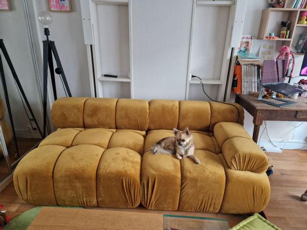 Clara's house