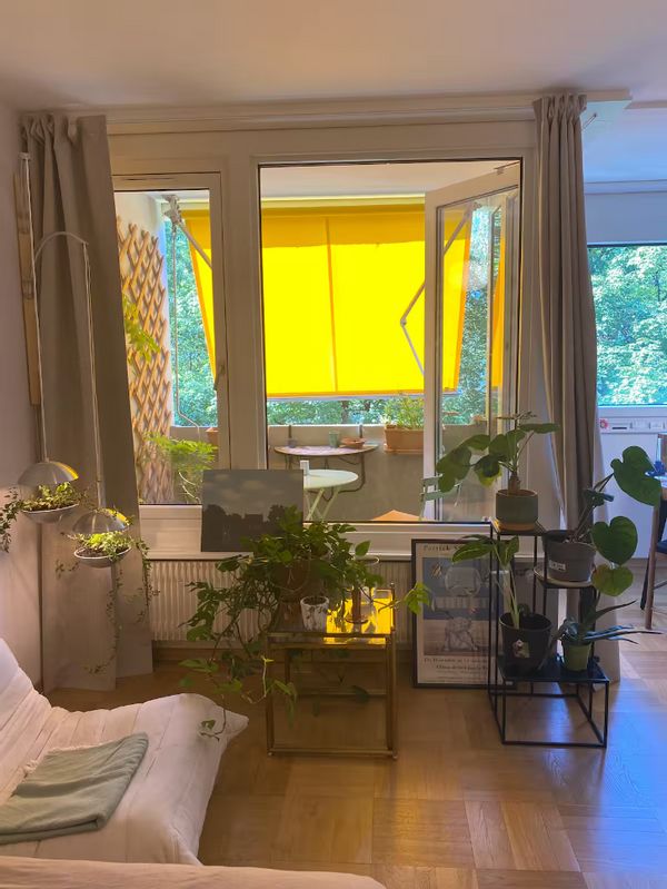 Cosy apartment in Geneva – lake, parks & city life at your doorstep