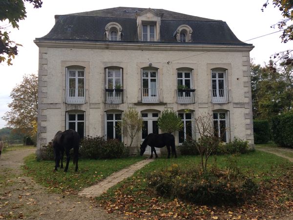 Elisabeths hus