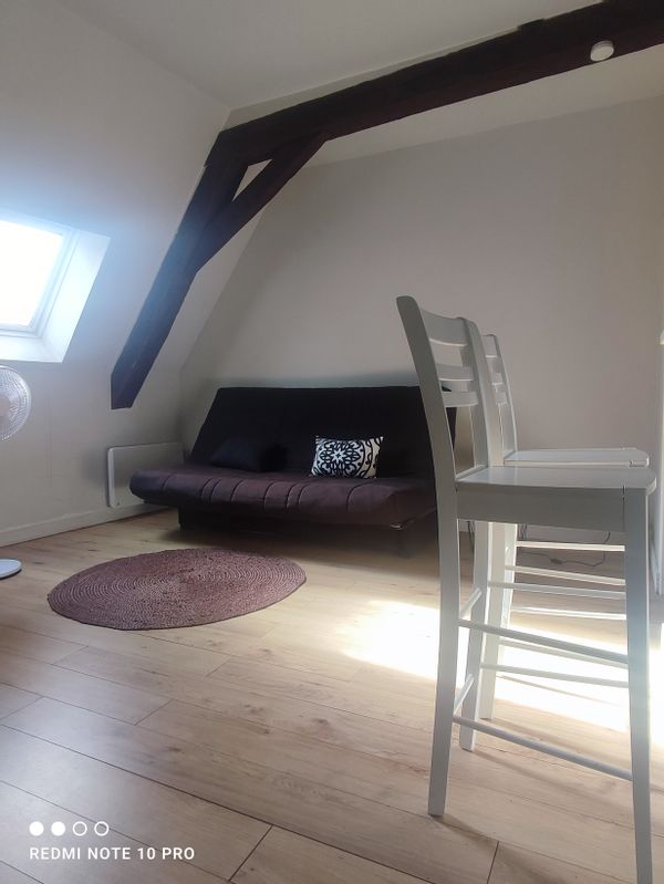 Ebene's house Studio avec un grand canapé-lit, dans le centre historique de Bourges.