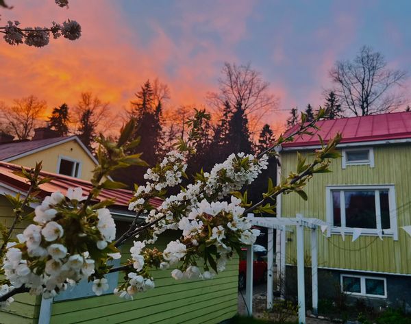 Family friendly home in beautiful Petsamo neighbourhood, Tampere-easy access to lake, nature & city