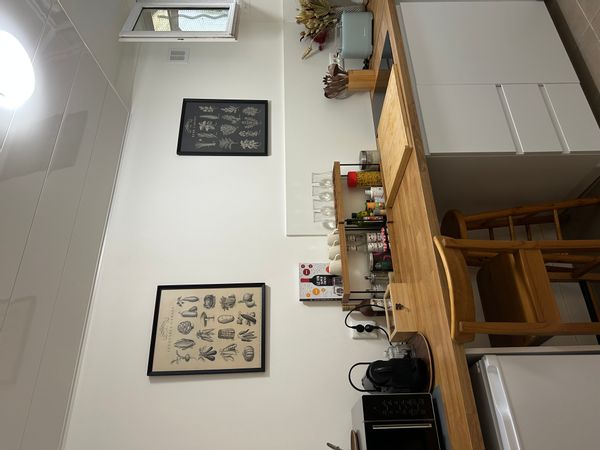 Camilas hus