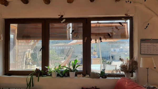 Sara y José, Vega y Jaras hus