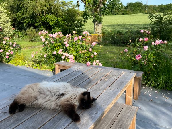 Un potager à la campagne à 15 min de la mer ! (2ch)