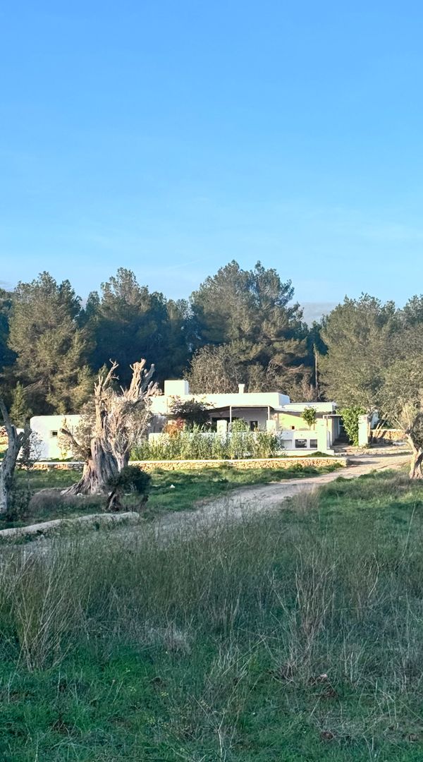 Casa de Seyran