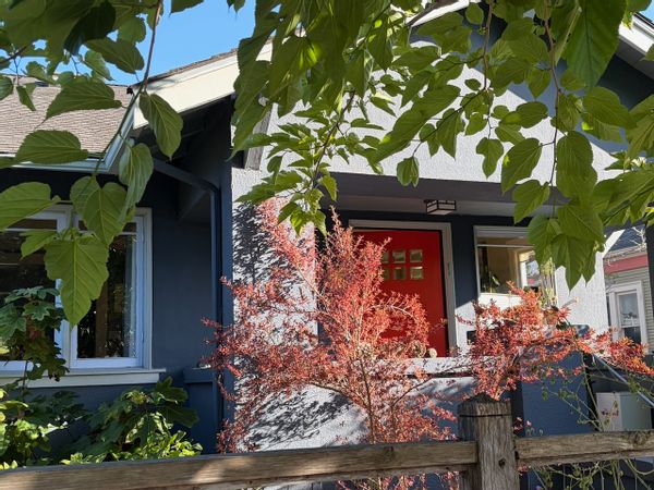 Updated Berkeley bungalow with large, sun-filled backyard, modern kitchen, and close to transit.
