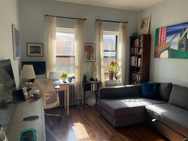 Comfortable Williamsburg Apartment