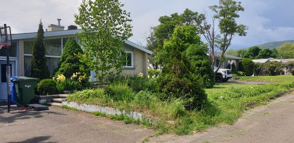 huis van Elodie
