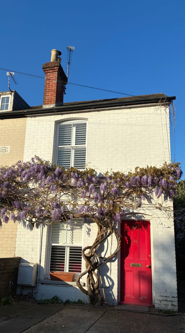 A little semi detached cottage just off Wickham Square with peaceful garden