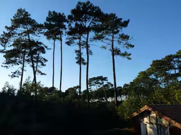 Herves hus