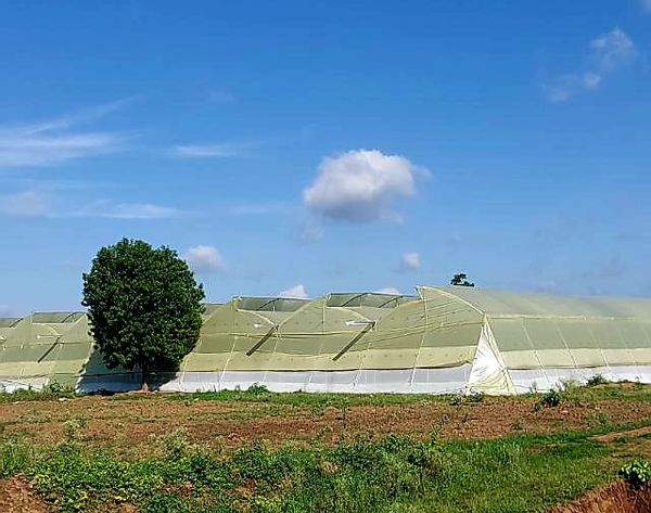 Casa di Ajay
