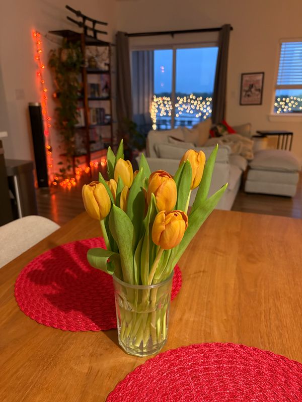 Casa de Emma