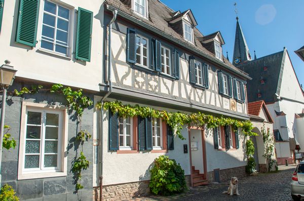 Newly renovated apartment in charming heritage home at market place, in the heart of the Rheingau