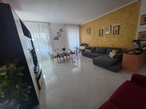 Casa de Virgil Ionel