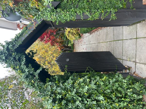 Annas hus