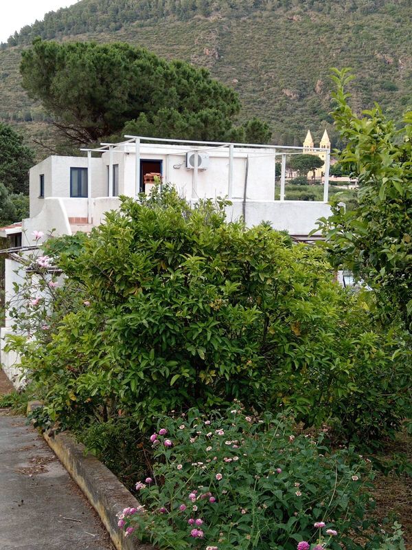 Robertos hus