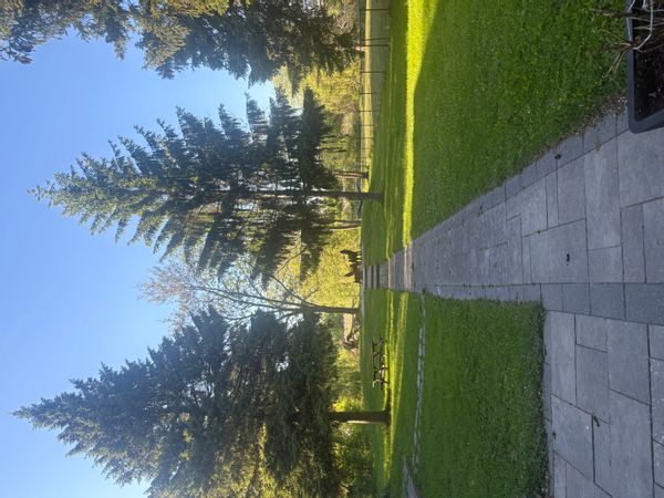Susana's house