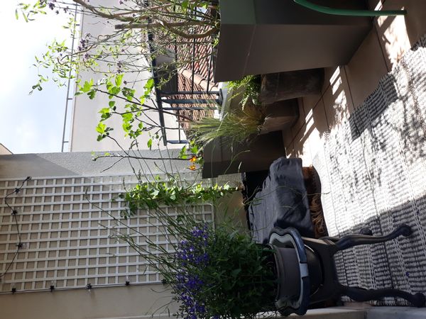 Casa di Audrey