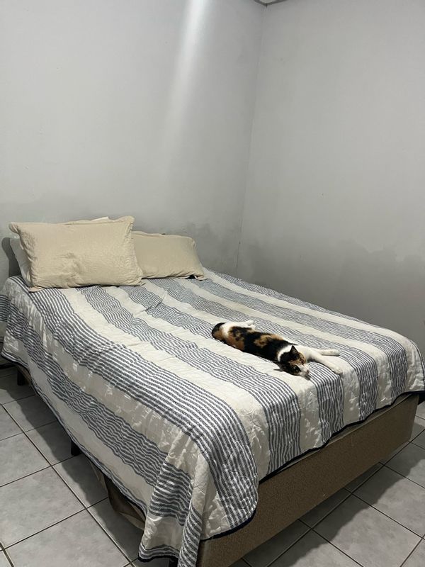 Francisco Márcio Veloso Leite Filhos hus