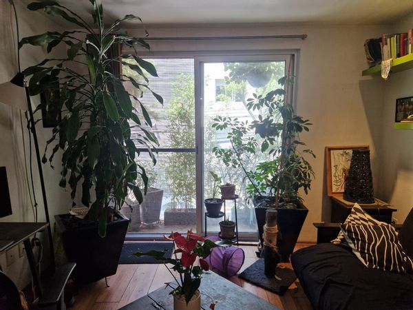 Cozy centric apartment (three blocks from Chapultepec forest!)