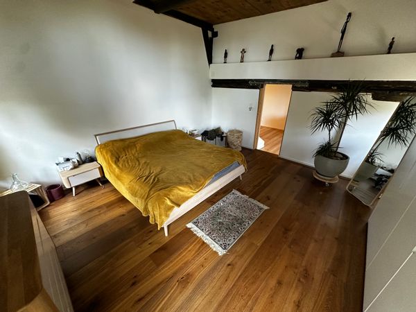 Noams hus
